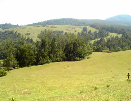 9th Mile and 6th mile