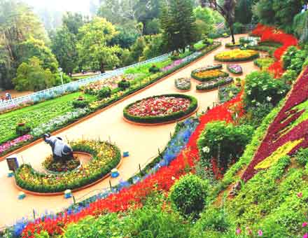 Ooty tour packages