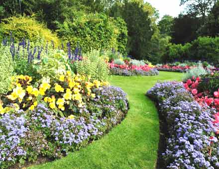 Places to visit in Ooty